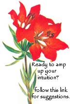 IntuitiveGifts